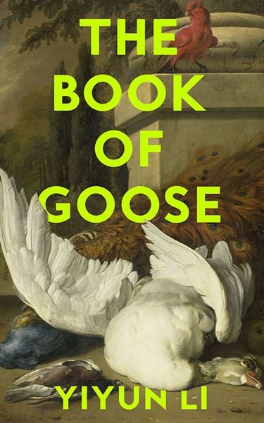 Produktbild: The Book of Goose