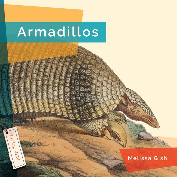 Produktbild: Armadillos