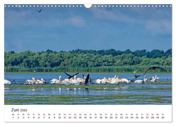 Produktbild: Donau-Delta (Wandkalender 2026 DIN A3 quer), CALVENDO Monatskalender