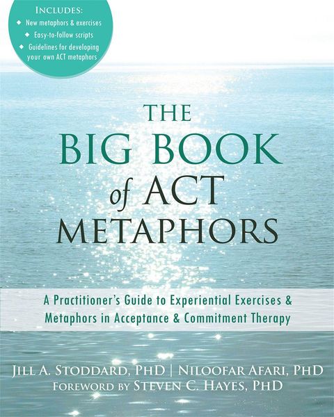 Produktbild: The Big Book of ACT Metaphors