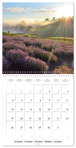Produktbild: Fantastic shots of France (Wall Calendar 2026 12 &times; 12 Inch) CALVENDO 12 Month Wall Calendar