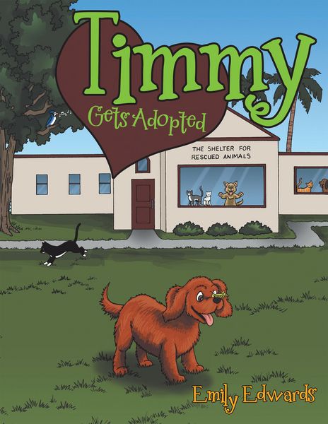Produktbild: Timmy Gets Adopted