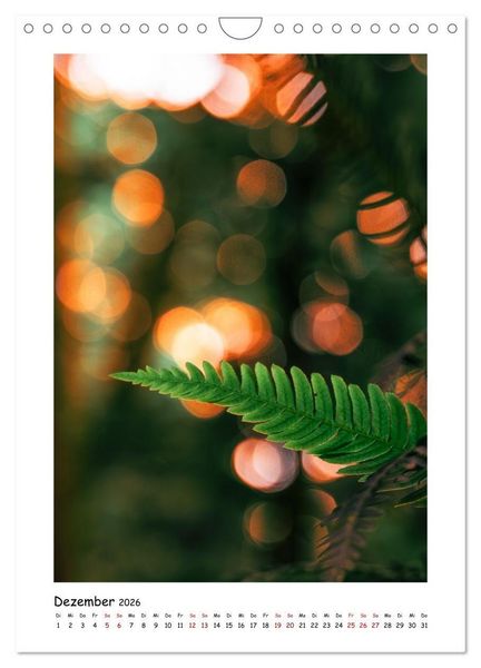 Produktbild: Bubble Bokeh (Wandkalender 2026 DIN A4 hoch), CALVENDO Monatskalender