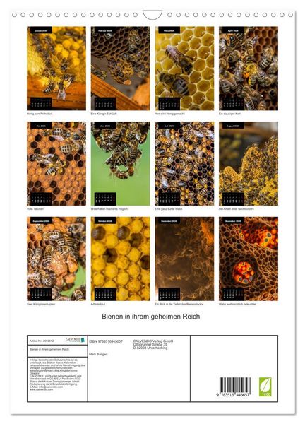 Produktbild: Bienen in ihrem geheimen Reich (Wandkalender 2026 DIN A3 hoch), CALVENDO Monatskalender