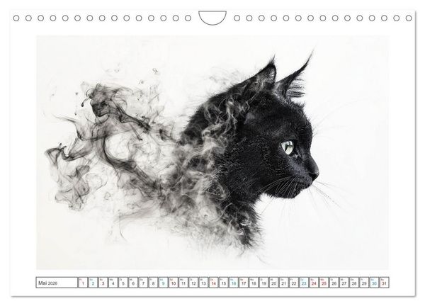 Produktbild: Samtpfoten-Sinfonie (Wandkalender 2026 DIN A4 quer), CALVENDO Monatskalender