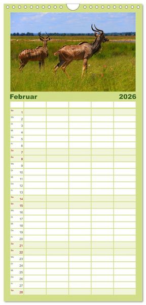 Produktbild: Familienplaner 2026 - Botswana- Pirschfahrt mit Garantie auf Wildlife mit 5 Spalten (Wandkalender, 21 x 45 cm) CALVENDO