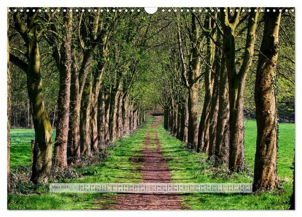 Produktbild: Wald im Bergischen Land 2027 (Wandkalender 2027 DIN A3 quer), CALVENDO Monatskalender