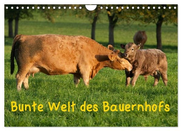 Produktbild: Bunte Welt des Bauernhofs (Wandkalender 2026 DIN A4 quer), CALVENDO Monatskalender