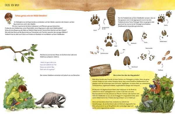 Produktbild: Erlebe den Wald mit allen Sinnen