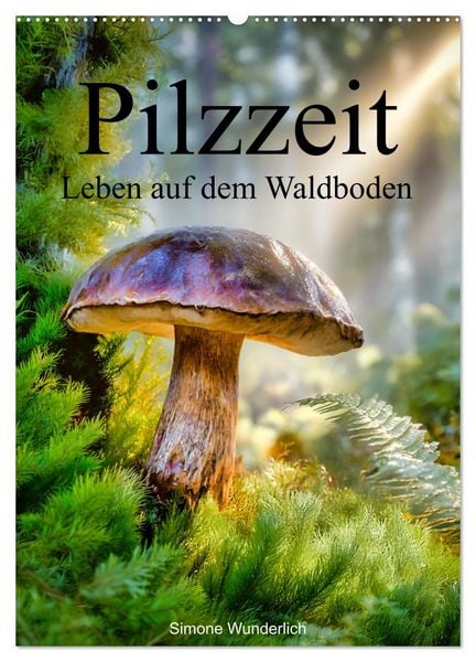 Produktbild: Pilzzeit - Leben auf dem Waldboden (Wandkalender 2027 DIN A2 hoch), CALVENDO Monatskalender