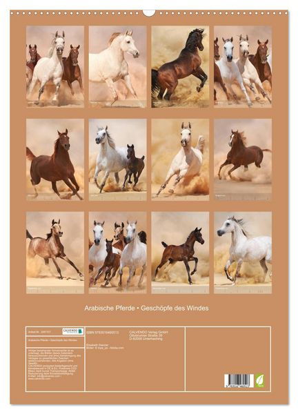 Produktbild: Arabische Pferde &bull; Gesch&ouml;pfe des Windes (Wandkalender 2026 DIN A2 hoch), CALVENDO Monatskalender