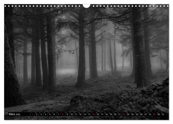 Produktbild: Stille Momente in Schwarz-Weiss (Wandkalender 2026 DIN A3 quer), CALVENDO Monatskalender