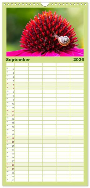 Produktbild: Familienplaner 2026 - Magie Heimische Natur mit 5 Spalten (Wandkalender, 21 x 45 cm) CALVENDO