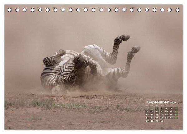 Produktbild: WILDE TIERE IN AKTION (Tischkalender 2027 DIN A5 quer), CALVENDO Monatskalender