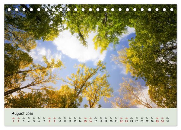 Produktbild: Waldbaden - Durch Achtsamkeit zu einer besseren Gesundheit (Tischkalender 2026 DIN A5 quer), CALVENDO Monatskalender
