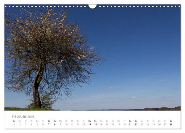 Produktbild: Wundersch&ouml;ne B&auml;ume im Sauerland (Wandkalender 2026 DIN A3 quer), CALVENDO Monatskalender