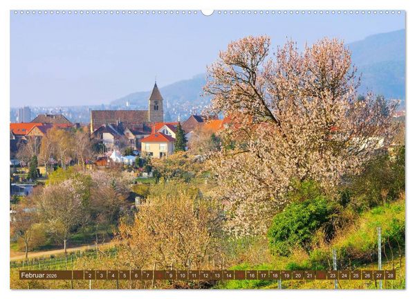 Produktbild: Gimmeldingen - Mandelbl&uuml;tenfest an der Deutschen Weinstra&szlig;e (Wandkalender 2026 DIN A2 quer), CALVENDO Monatskalender