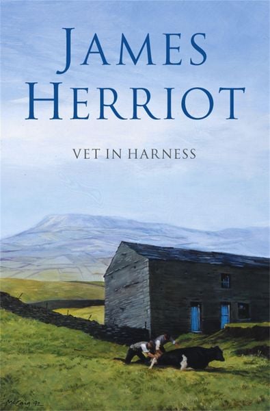 Produktbild: Vet in Harness