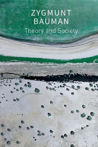 Produktbild: Theory and Society