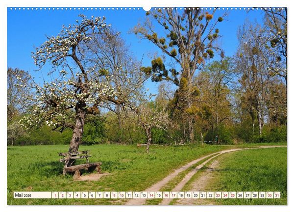 Produktbild: Vom Ried an die Bergstra&szlig;e, durch den Odenwald ins Neckartal (hochwertiger Premium Wandkalender 2026 DIN A2 quer), Kunstdruck in Hochglanz