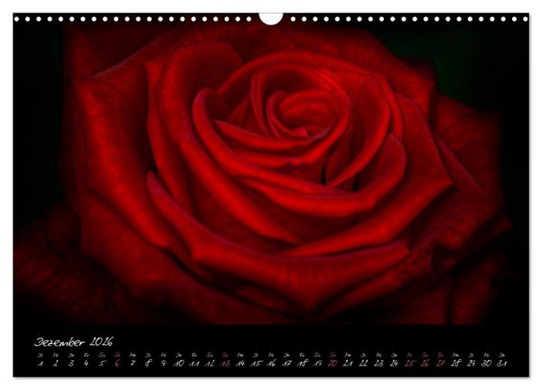 Produktbild: Serenade - Visuelle Musik der Blumen (Wandkalender 2026 DIN A3 quer), CALVENDO Monatskalender