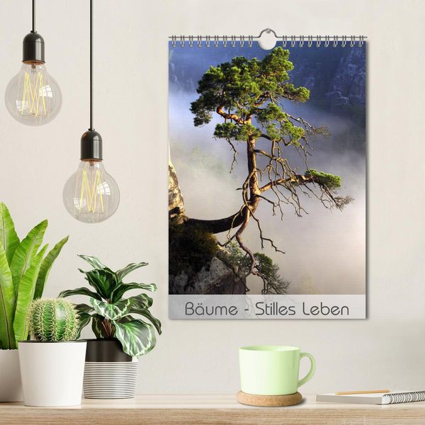 Produktbild: B&auml;ume - Stilles Leben (Wandkalender 2026 DIN A4 hoch), CALVENDO Monatskalender