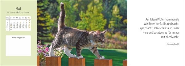 Produktbild: Katzen Premium-Tischplaner 2027 - Der literarische Wochenkalender mit Zitaten