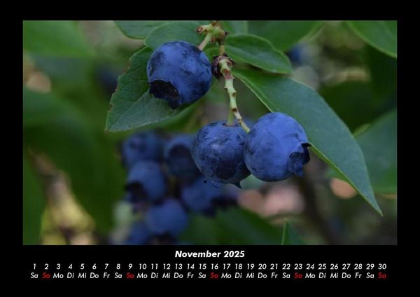 Produktbild: Obstkalender 2025 Fotokalender DIN A3