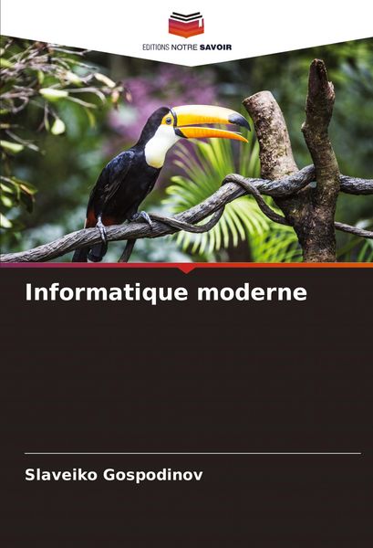 Produktbild: Informatique moderne