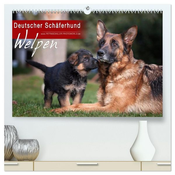 Produktbild: Deutscher Sch&auml;ferhund - Welpen (hochwertiger Premium Wandkalender 2026 DIN A2 quer), Kunstdruck in Hochglanz