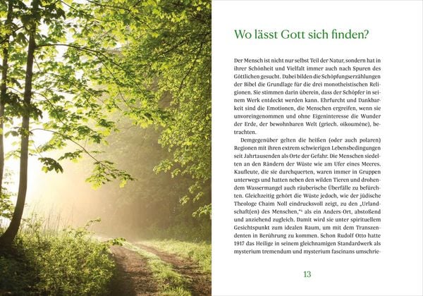 Produktbild: Beten unter B&auml;umen
