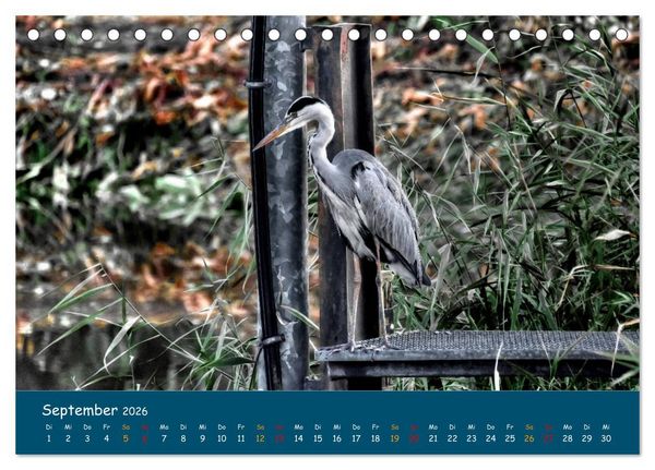 Produktbild: Naturschutzgebiet W&uuml;mme (Tischkalender 2026 DIN A5 quer), CALVENDO Monatskalender