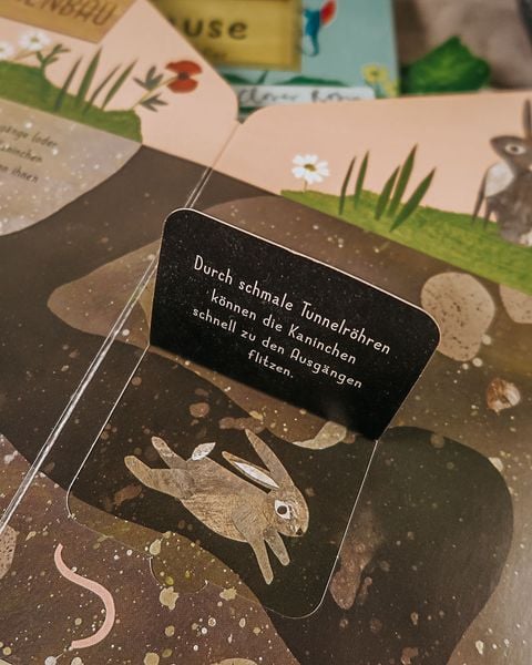 Produktbild: Mein Zuhause - Kaninchen, Fuchs und Adler