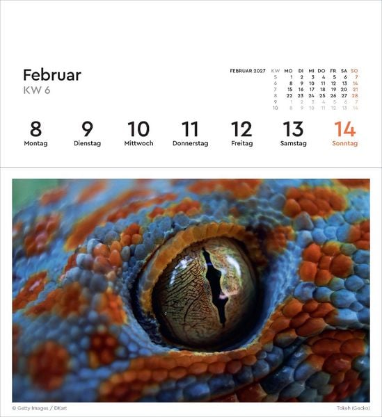 Produktbild: Strukturen - KUNTH Postkartenkalender 2027