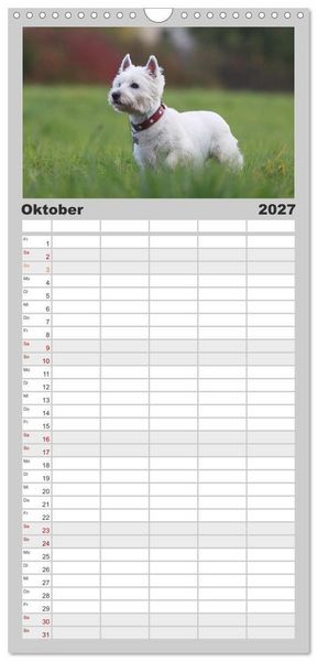 Produktbild: Familienplaner 2027 - West Highland White Terrier - Selbstbewustes Powerpaket - der Westie mit 5 Spalten (Wandkalender, 21 x 45 cm) CALVENDO