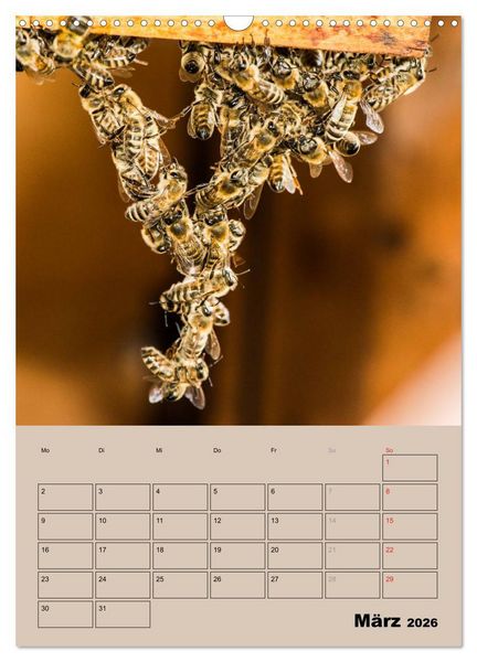 Produktbild: Bienenplaner (Wandkalender 2026 DIN A3 hoch), CALVENDO Monatskalender