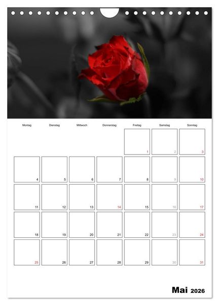 Produktbild: schwarz/wei&szlig; trifft farbe - DEIN TERMINKALENDER / Planer (Wandkalender 2026 DIN A4 hoch), CALVENDO Monatskalender
