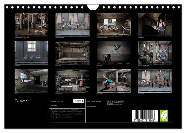 Produktbild: Turnwerk (Wandkalender 2026 DIN A4 quer), CALVENDO Monatskalender