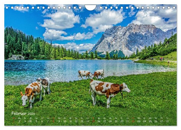 Produktbild: Naturparadies Zugspitzarena (Wandkalender 2026 DIN A4 quer), CALVENDO Monatskalender