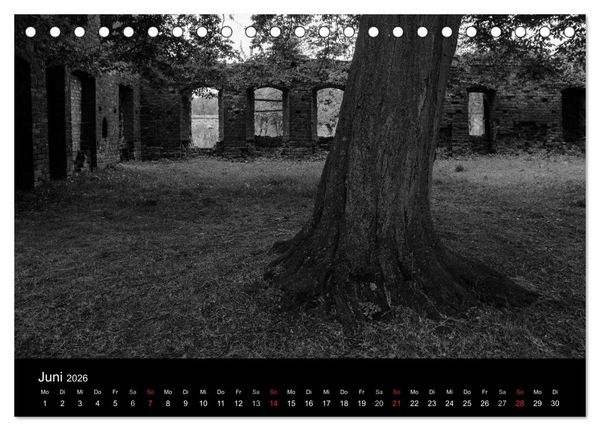 Produktbild: B&auml;ume trees 2026 (Tischkalender 2026 DIN A5 quer), CALVENDO Monatskalender