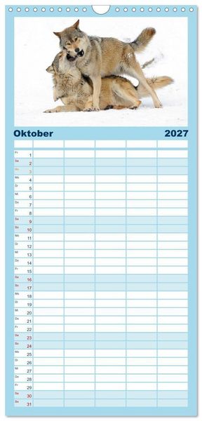 Produktbild: Familienplaner 2027 - Kanadische W&ouml;lfe im Winter mit 5 Spalten (Wandkalender, 21 x 45 cm) CALVENDO
