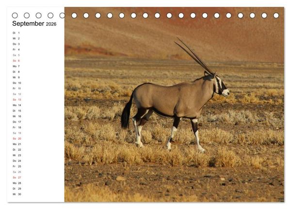 Produktbild: Namibia - Tierische Vielfalt (Planer) (Tischkalender 2026 DIN A5 quer), CALVENDO Monatskalender