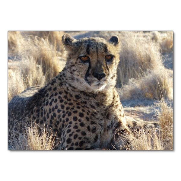 Produktbild: Lais Puzzle Gepard 1000 Teile