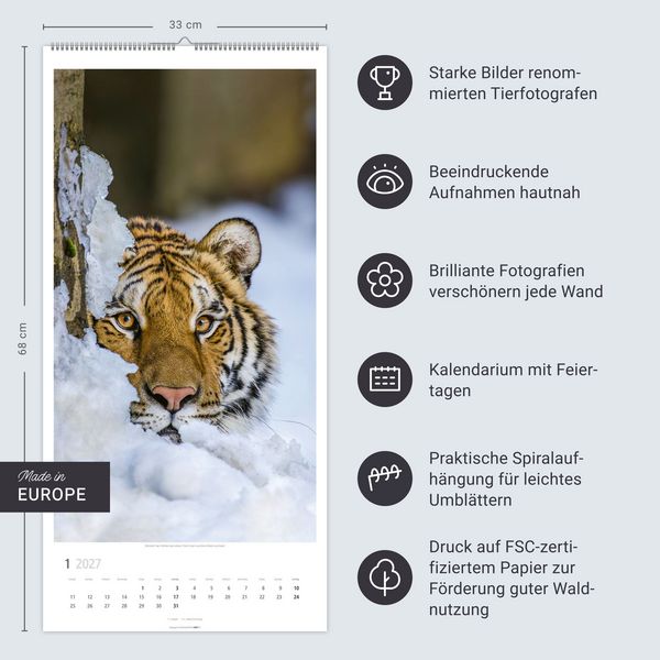 Produktbild: Big Cats Kalender 2027