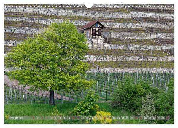 Produktbild: Weinbergh&auml;uschen - Schutz- und Werkzeughaus f&uuml;r den Weing&auml;rtner (Wandkalender 2026 DIN A3 quer), CALVENDO Monatskalender