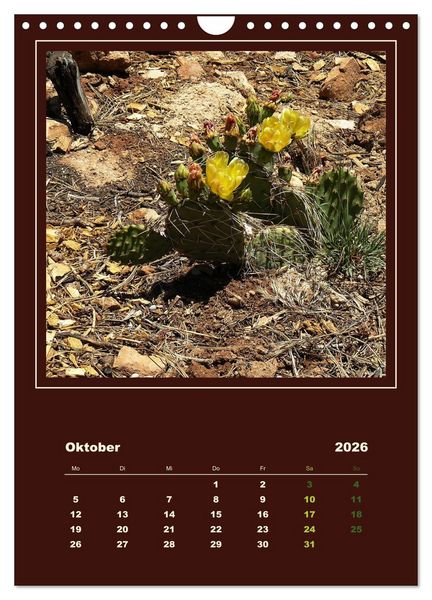 Produktbild: Wilde Kakteen Amerikas (Wandkalender 2026 DIN A4 hoch), CALVENDO Monatskalender