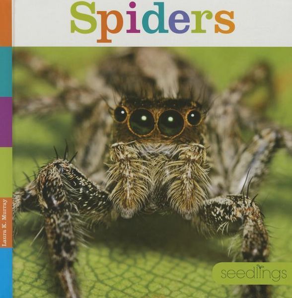 Produktbild: Spiders