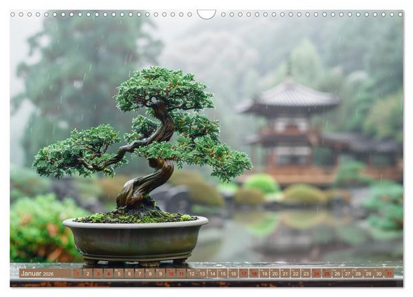 Produktbild: Bonsai meditativ (Wandkalender 2026 DIN A3 quer), CALVENDO Monatskalender