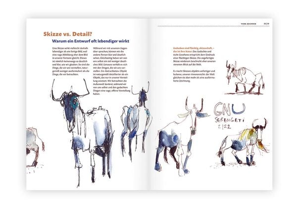 Produktbild: Tiere zeichnen und verstehen