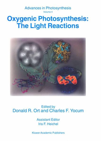 Produktbild: Oxygenic Photosynthesis: The Light Reactions